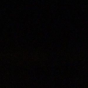 Meet your Posher, Sylvie